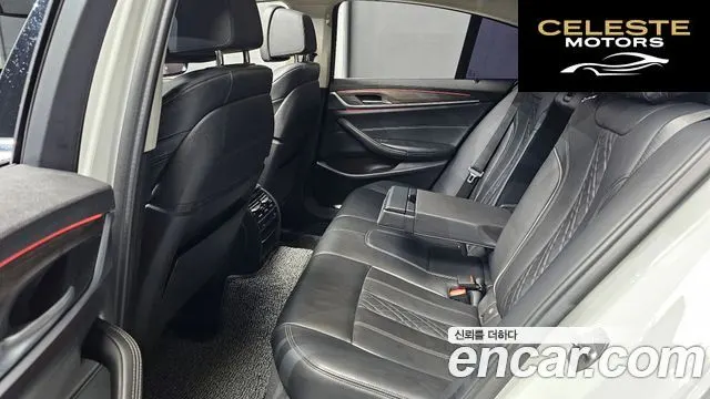 BMW Série 5 (G30) 520d Luxury Plus 2019 — photo 12 sur 20