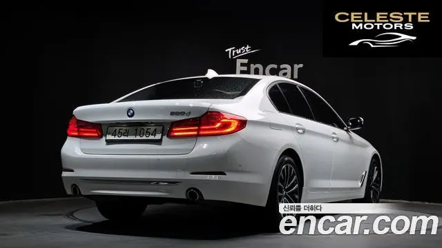 BMW Série 5 (G30) 520d Luxury Plus 2019 — photo 2 sur 20