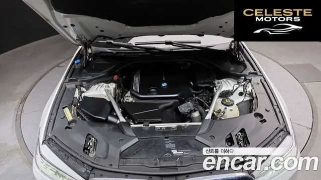 BMW Série 5 (G30) 520d Luxury Plus 2019 — photo 6 sur 20