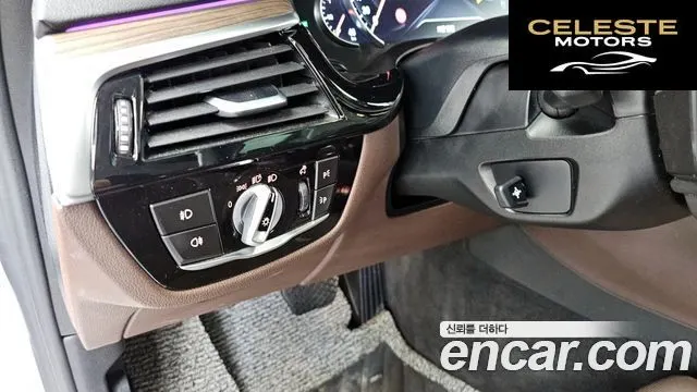 BMW Série 5 (G30) 530i Luxury Plus 2018 — photo 29 sur 31
