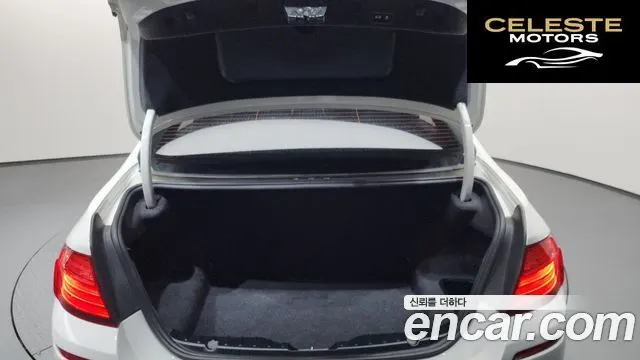 BMW Série 5 (F10) 530d xDrive M Sport 2015 — photo 19 sur 20