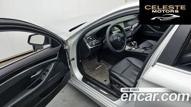 BMW Série 5 (F10) 520d 2013 — photo 10 sur 20