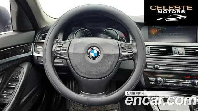 BMW Série 5 (F10) 520d 2013 — photo 13 sur 20