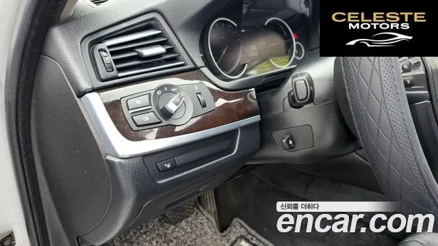 BMW Série 5 (F10) 520d 2013 — photo 20 sur 20