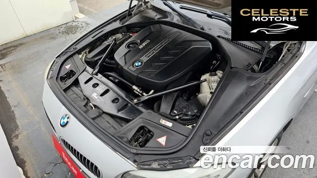 BMW Série 5 (F10) 520d 2013 — photo 6 sur 20
