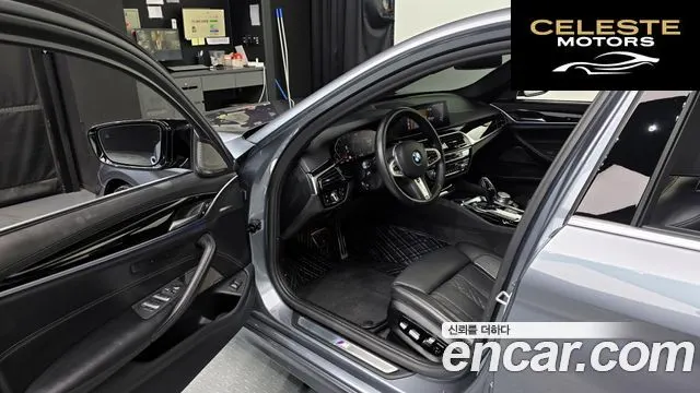 BMW Série 5 (G30) 520d M Sport Plus 2020 — photo 10 sur 20