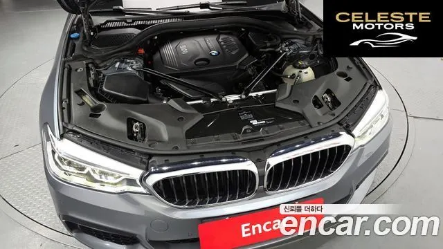 BMW Série 5 (G30) 520d M Sport 2017 — photo 6 sur 20