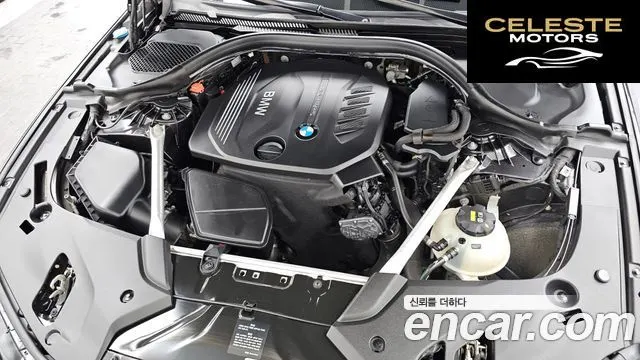 BMW Série 5 (G30) 520d M Sport Plus 2018 — photo 6 sur 33