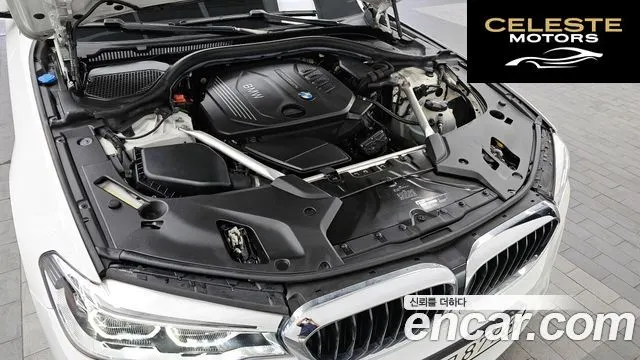 BMW Série 5 (G30) 520d M Sport Plus 2018 — photo 6 sur 40