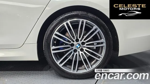 BMW Série 5 (G30) 530i M Sport Plus 2020 — photo 6 sur 30
