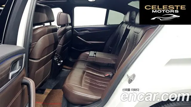 BMW Série 5 (G30) 530i M Sport Plus 2017 — photo 29 sur 31