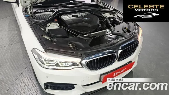 BMW Série 5 (G30) 530i M Sport Plus 2017 — photo 6 sur 31