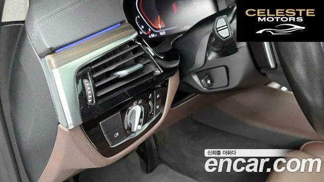 BMW Série 5 (G30) 530i xDrive Luxury 2021 — photo 17 sur 20