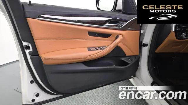BMW Série 5 (G30) 520i Luxury 2021 — photo 13 sur 32