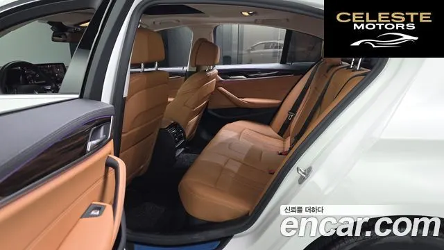 BMW Série 5 (G30) 520i Luxury 2021 — photo 15 sur 32