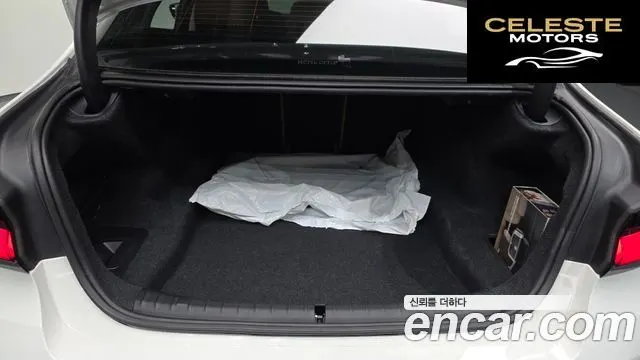 BMW Série 5 (G30) 520i Luxury 2021 — photo 25 sur 32