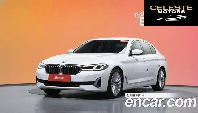 BMW Série 5 (G30) 520i Luxury 2021 — photo 32 sur 32