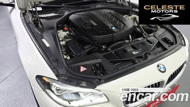 BMW Série 5 (F10) 520d xDrive Luxury 2014 — photo 6 sur 30