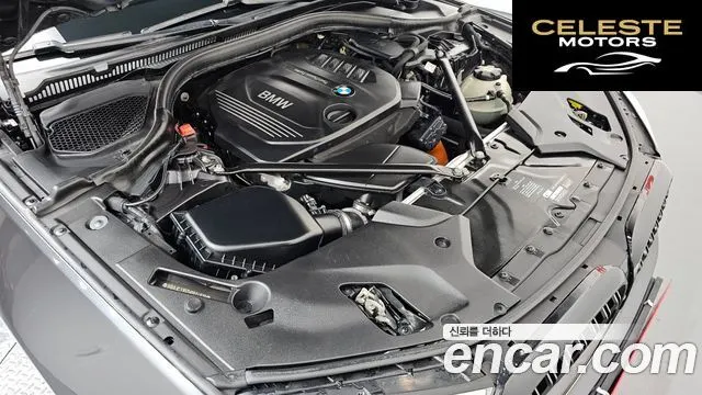 BMW Série 5 (G30) 520d M Sport Plus 2017 — photo 6 sur 20