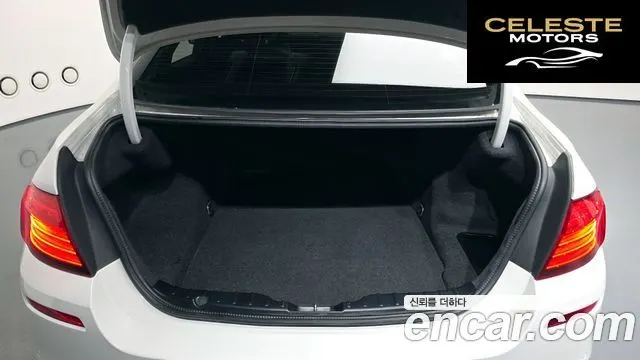 BMW Série 5 (F10) 520d M Aéro Dynamic 2016 — photo 24 sur 36