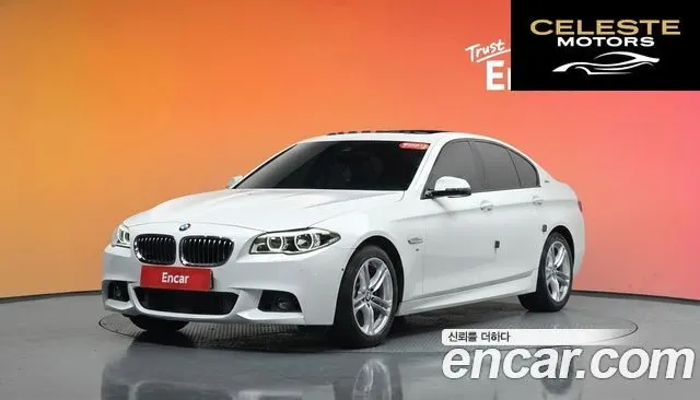 BMW Série 5 (F10) 520d M Aéro Dynamic 2016 — photo 36 sur 36