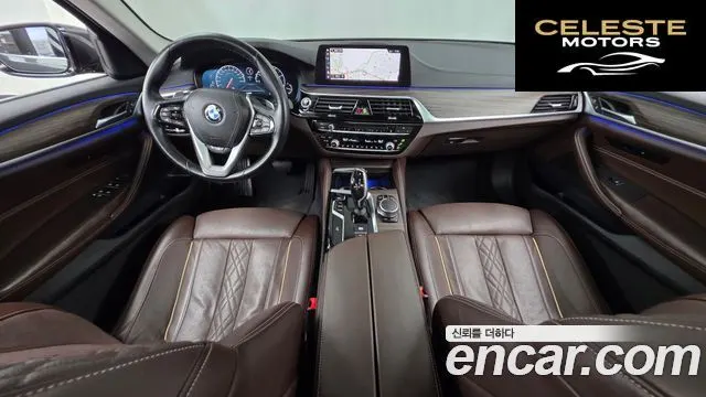 BMW Série 5 (G30) 520d xDrive Luxury Plus 2019 — photo 10 sur 35