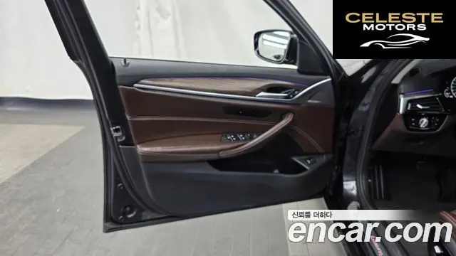 BMW Série 5 (G30) 520d xDrive Luxury Plus 2019 — photo 14 sur 35
