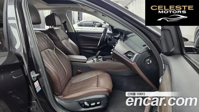 BMW Série 5 (G30) 520d xDrive Luxury Plus 2019 — photo 17 sur 35