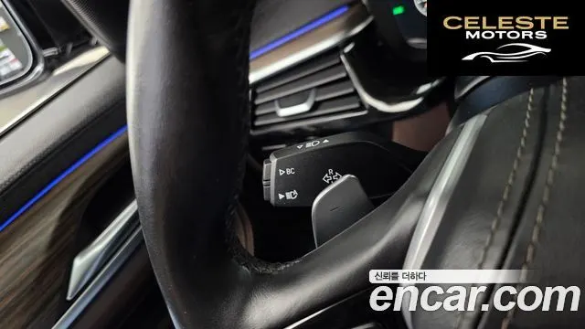 BMW Série 5 (G30) 520d xDrive Luxury Plus 2019 — photo 30 sur 35