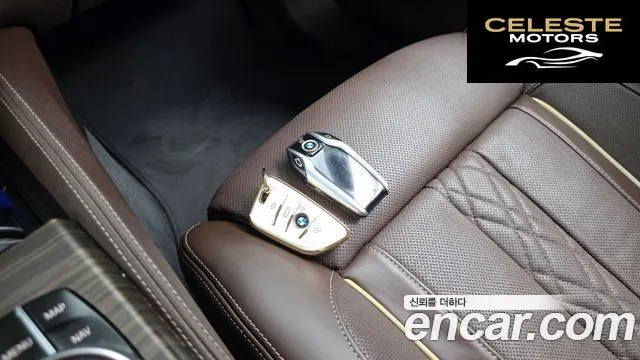 BMW Série 5 (G30) 520d xDrive Luxury Plus 2019 — photo 34 sur 35