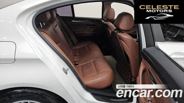 BMW Série 5 (F10) 520d 2015 — photo 11 sur 26