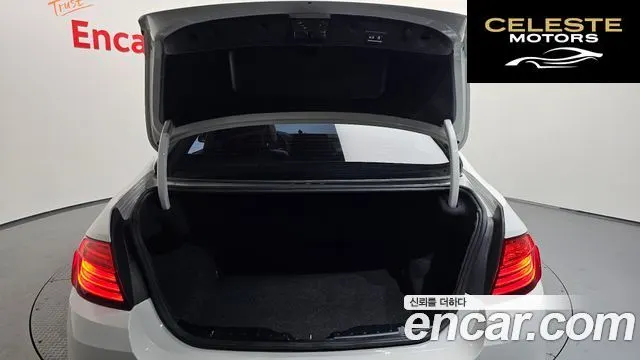 BMW Série 5 (F10) 520d 2015 — photo 19 sur 26