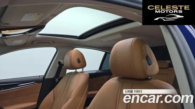 BMW Série 5 (G30) 520i Luxury 2020 — photo 16 sur 26