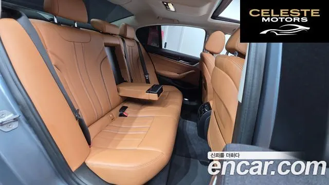 BMW Série 5 (G30) 520d Luxury Spécial Edition 2018 — photo 18 sur 20
