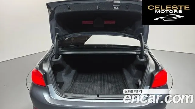 BMW Série 5 (G30) 520d Luxury Spécial Edition 2018 — photo 20 sur 20