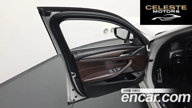 BMW Série 5 (G30) 530e M Sport 2020 — photo 14 sur 40