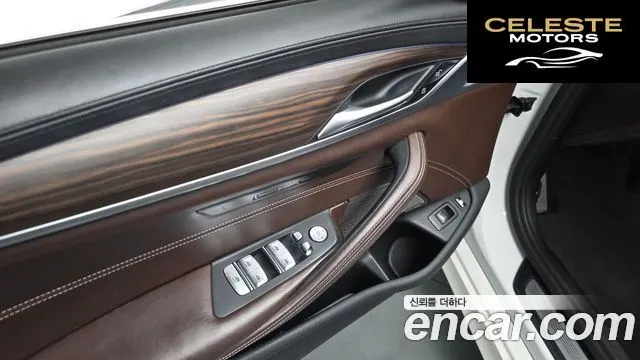 BMW Série 5 (G30) 530e M Sport 2020 — photo 38 sur 40