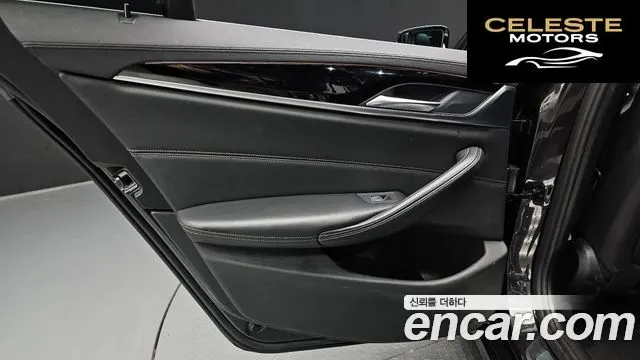 BMW Série 5 (G30) 520d xDrive Luxury Plus 2019 — photo 15 sur 38
