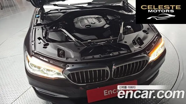 BMW Série 5 (G30) 520d xDrive Luxury Plus 2019 — photo 6 sur 38