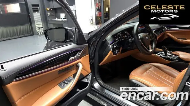 BMW Série 5 (G30) 520d Luxury Spécial Edition 2018 — photo 13 sur 32