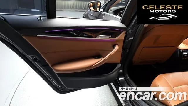 BMW Série 5 (G30) 520d Luxury Spécial Edition 2018 — photo 15 sur 32