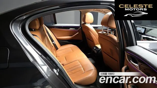 BMW Série 5 (G30) 520d Luxury Spécial Edition 2018 — photo 16 sur 32
