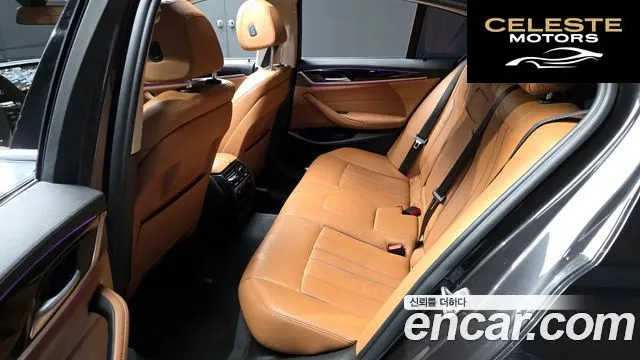 BMW Série 5 (G30) 520d Luxury Spécial Edition 2018 — photo 17 sur 32