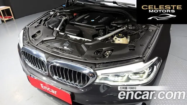 BMW Série 5 (G30) 520d Luxury Spécial Edition 2018 — photo 6 sur 32