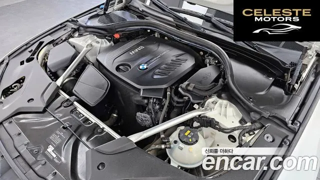 BMW Série 5 (G30) 520d xDrive Luxury Plus 2018 — photo 6 sur 32