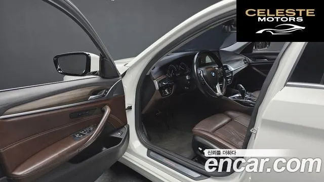 BMW Série 5 (G30) 520d Luxury Plus 2018 — photo 10 sur 20