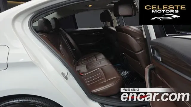 BMW Série 5 (G30) 520d Luxury Plus 2018 — photo 11 sur 20