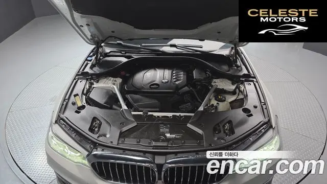 BMW Série 5 (G30) 520d Luxury Plus 2018 — photo 6 sur 20