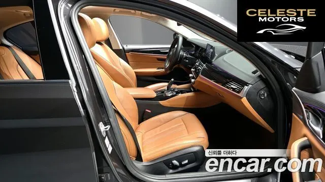 BMW Série 5 (G30) 520d Luxury Spécial Edition 2018 — photo 18 sur 32