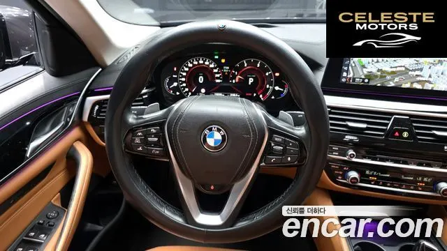 BMW Série 5 (G30) 520d Luxury Spécial Edition 2018 — photo 19 sur 32